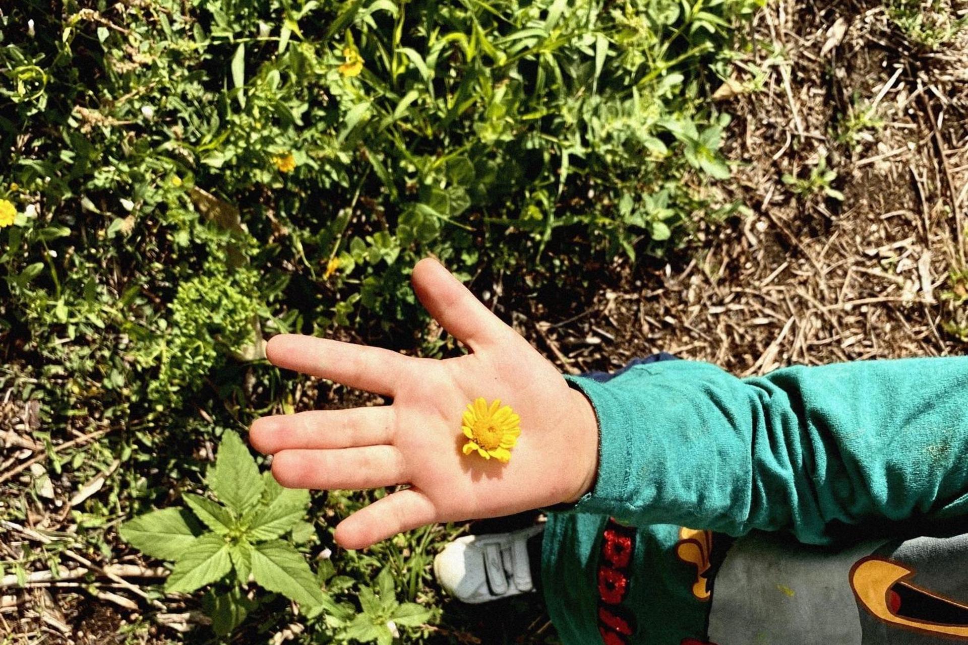 Casa das Laranjeiras