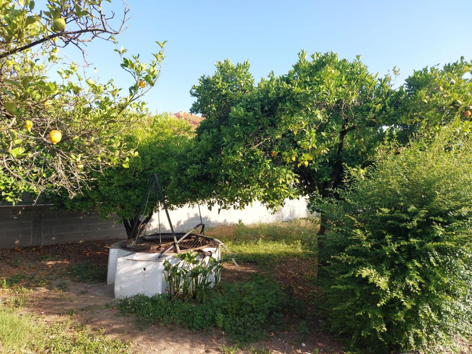 Casa das Laranjeiras