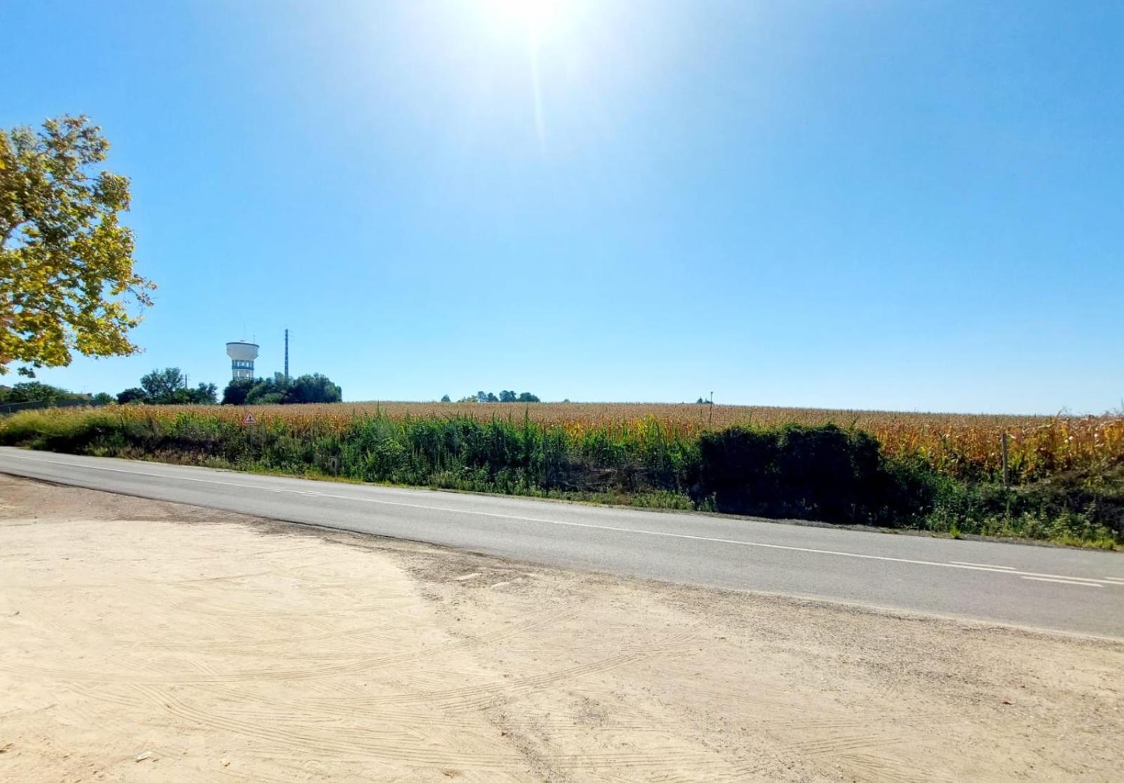 Casa das Laranjeiras