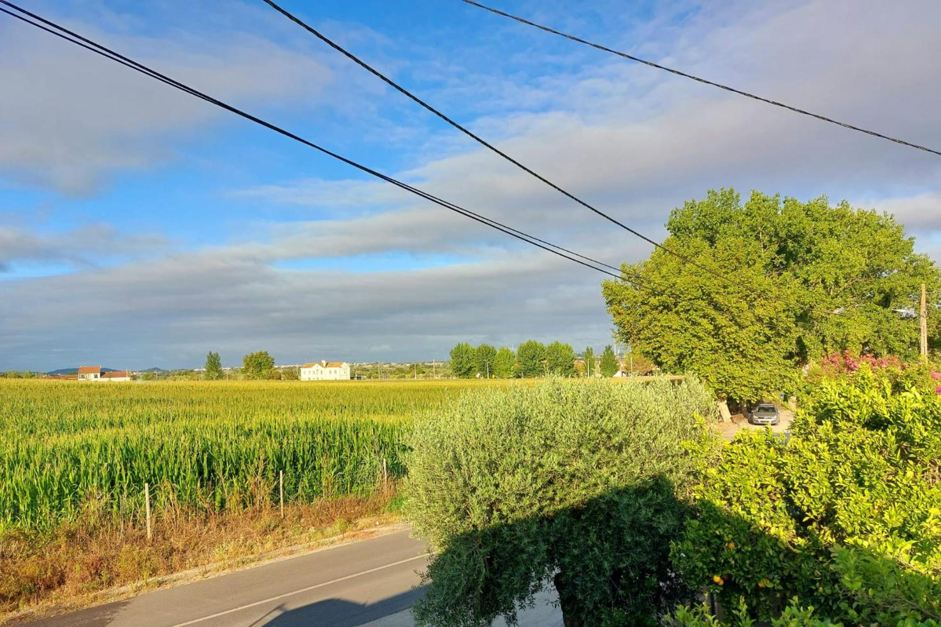 Casa das Laranjeiras