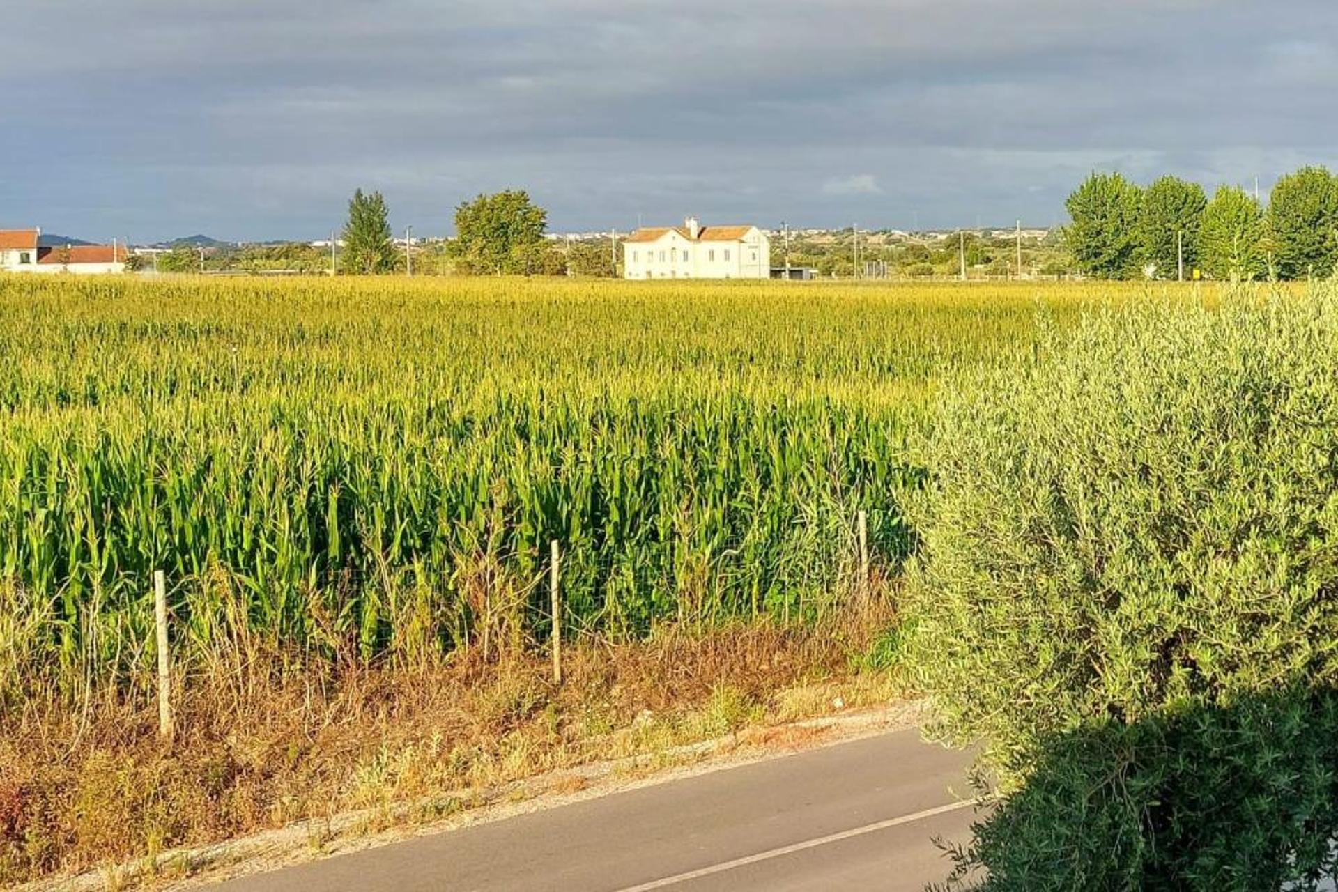 Casa das Laranjeiras