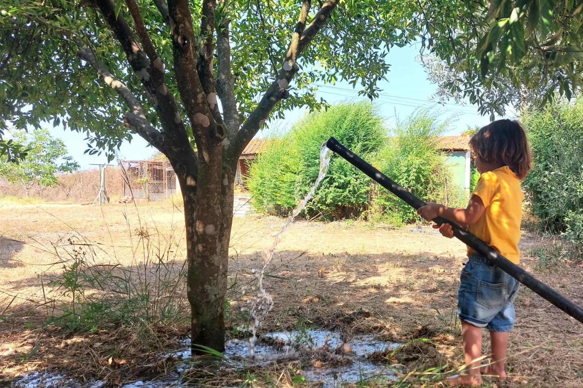 Casa das Laranjeiras