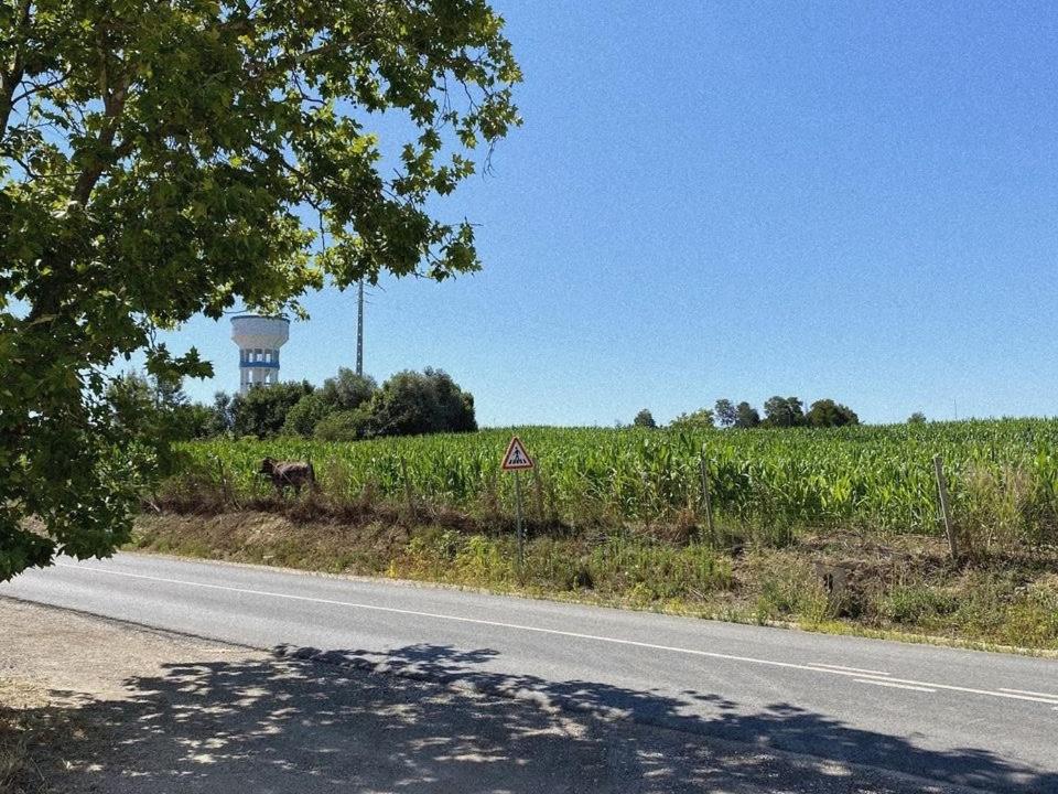 Casa das Laranjeiras